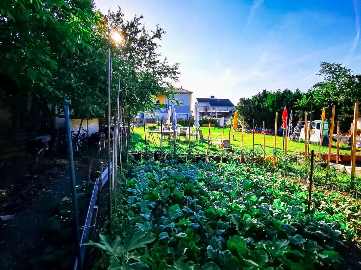 Grundstück kaufen in Wiener Neustadt Land – 516 m², € 209.000 – Bild 2 von 3