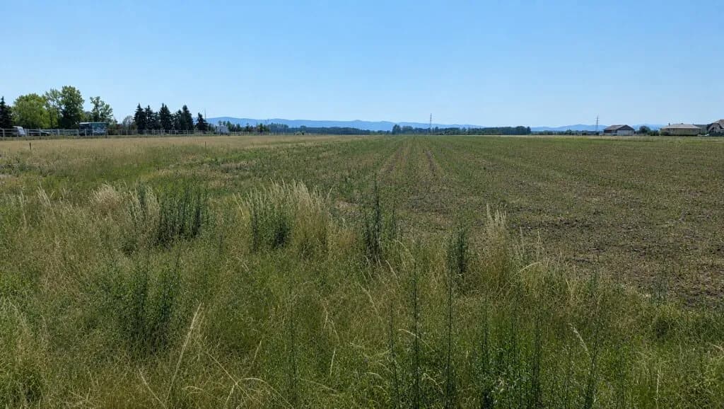 Grundstück kaufen in Wiener Neustadt Land – 551 m², € 209.000