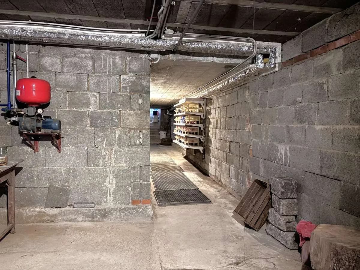 Immobilie mieten in Rohrbach – 188 m² – Bild 5 von 29