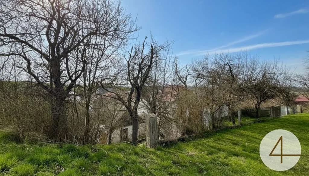 Haus kaufen in Horn – 14 648 m², € 249.000 – Bild 6 von 13