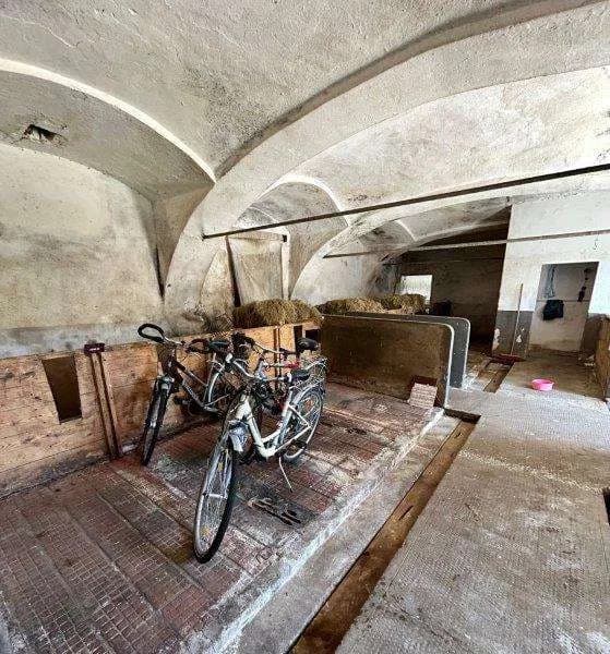 Haus mieten in Deutschlandsberg – 320 m², € 2.760 – Bild 28 von 67
