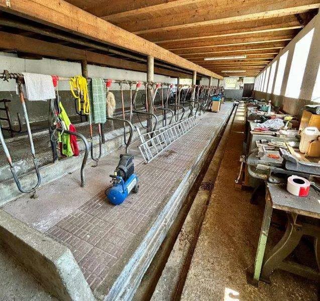 Haus mieten in Deutschlandsberg – 320 m², € 2.760 – Bild 31 von 67