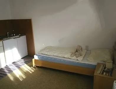 1-Zimmer-Wohnung mieten in Klagenfurt – 20 m², € 470 – Bild 3 von 4