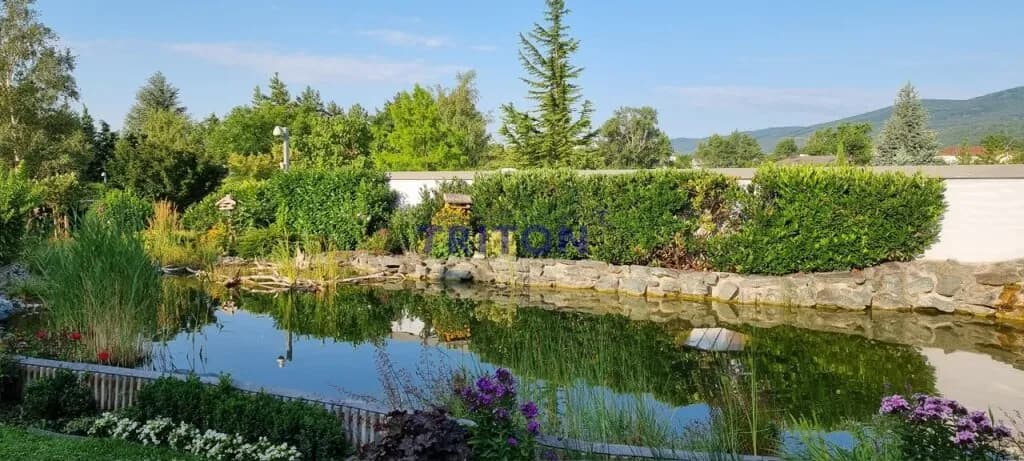 7-Zimmer-Immobilie kaufen in Mödling – 713 m², € 4.949.000 – Bild 4 von 20