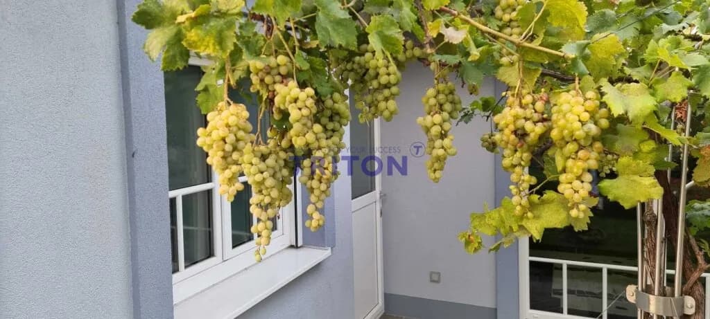 7-Zimmer-Immobilie kaufen in Mödling – 713 m², € 4.949.000 – Bild 10 von 20