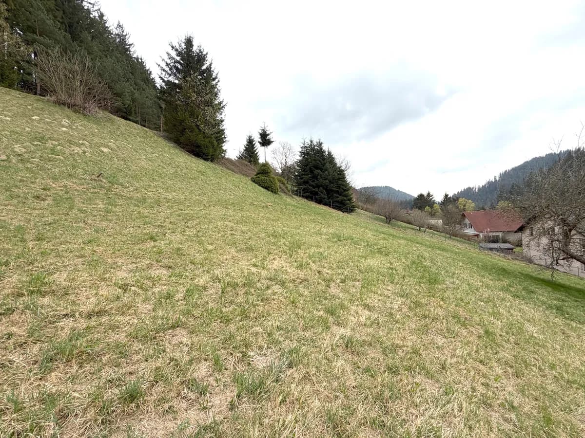 Grundstück kaufen in Weiz – 1 604 m², € 88.000 – Bild 3 von 4