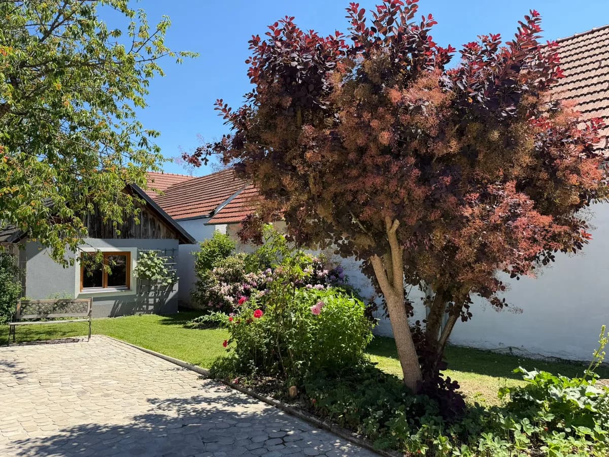 Haus kaufen in Güssing – 103 m², € 294.000 – Bild 9 von 40
