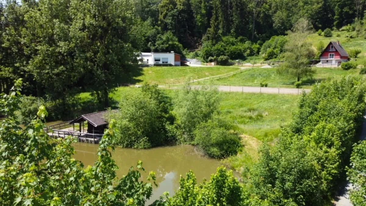 4-Zimmer-Haus kaufen in Leibnitz – 140 m², € 1.190.000 – Bild 6 von 8