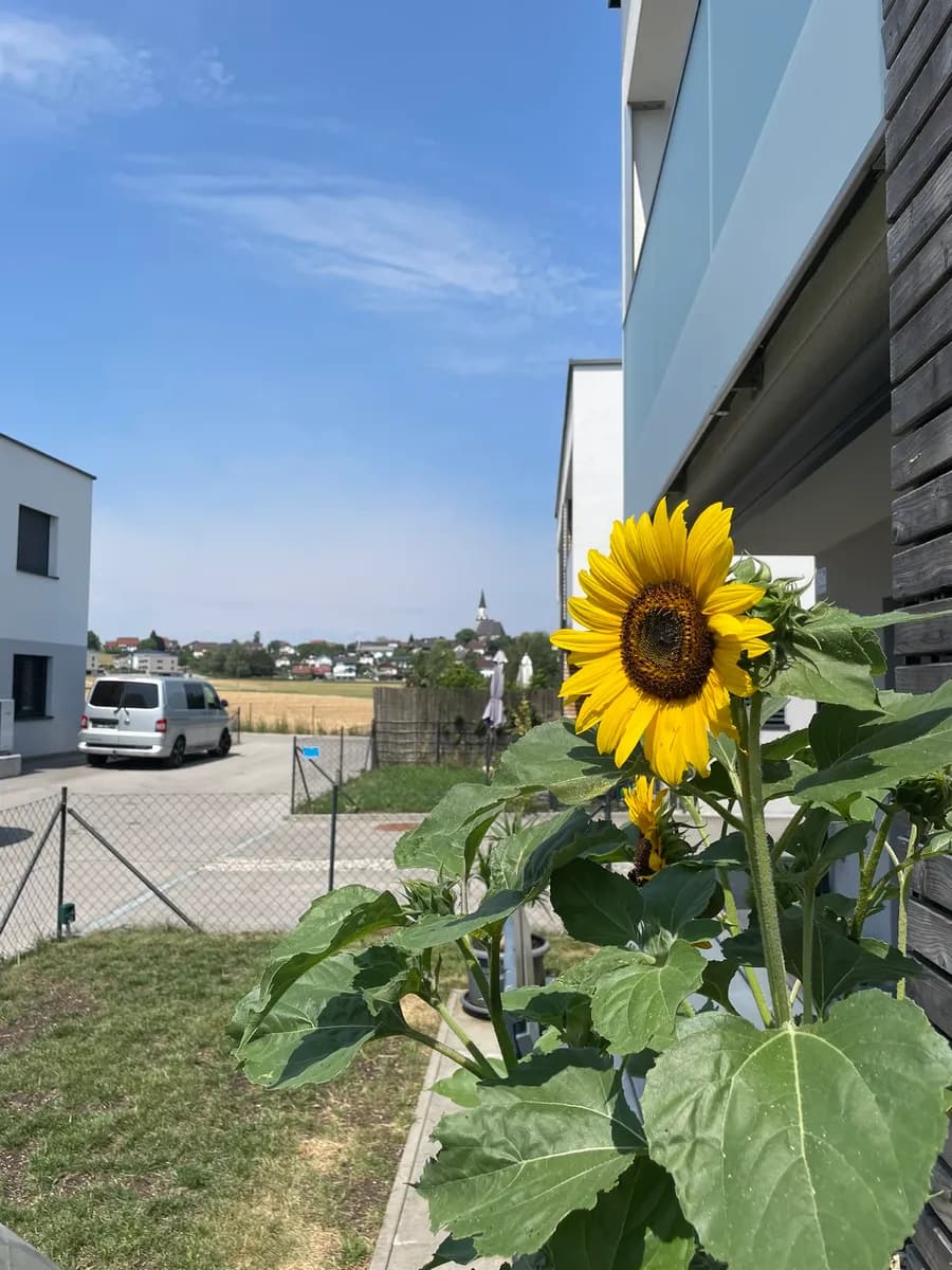 Haus kaufen in Gmunden – 114 m², € 559.000 – Bild 18 von 26
