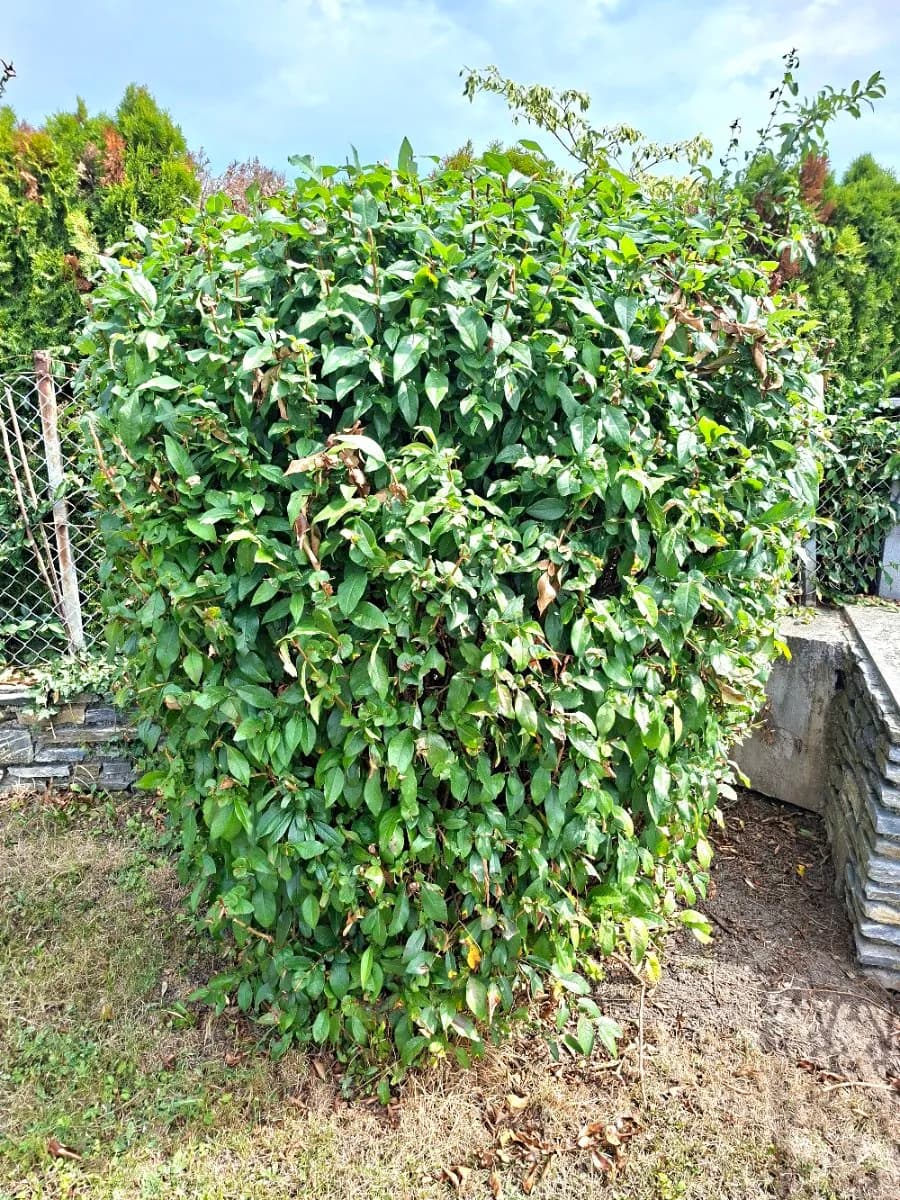 5-Zimmer-Haus kaufen in Oberwart – 130 m², € 350.000 – Bild 51 von 61