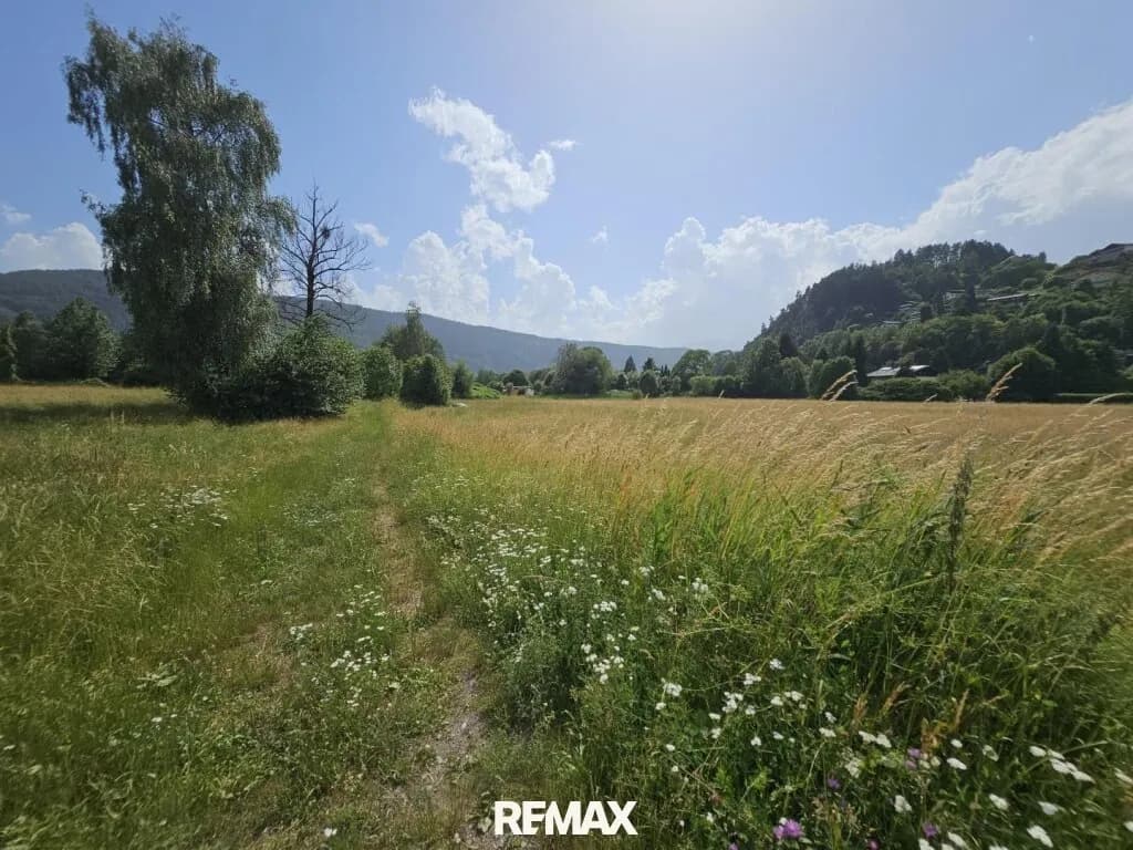 Immobilie kaufen in Spittal an der Drau – 6 855 m² – Bild 8 von 13