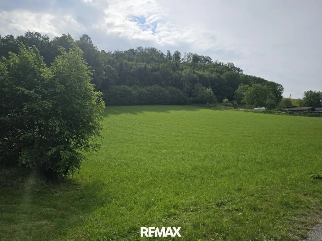 Immobilie kaufen in Urfahr-Umgebung – 6 719 m², € 2.900.000 – Bild 7 von 16