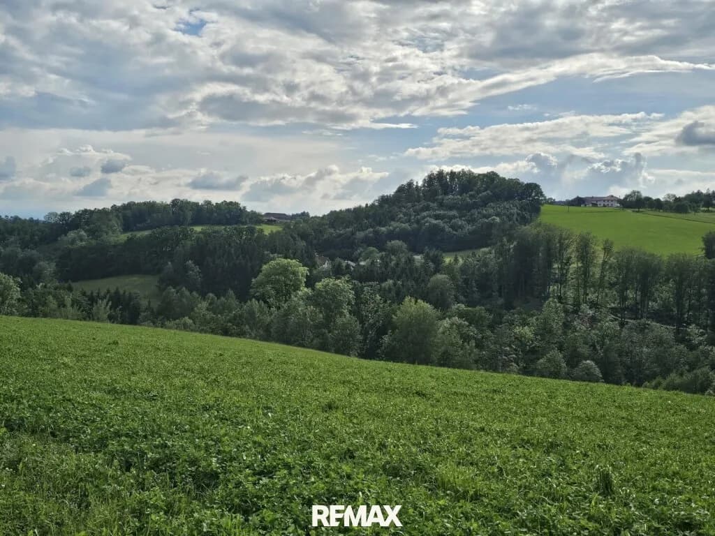 Immobilie kaufen in Urfahr-Umgebung – 6 719 m², € 2.900.000 – Bild 12 von 16