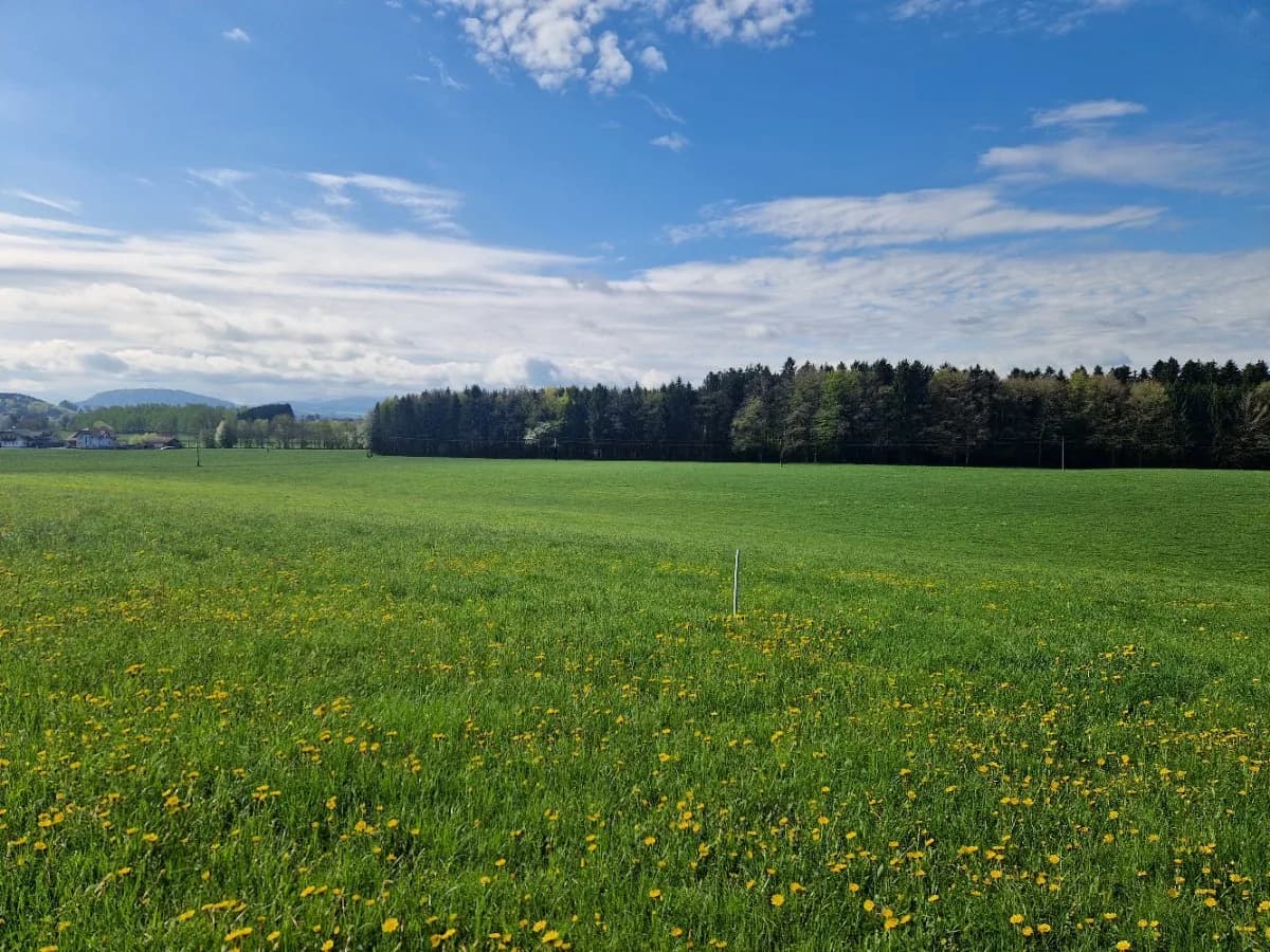 Grundstück kaufen in Braunau am Inn – 1 059 m², € 316.000 – Bild 3 von 4