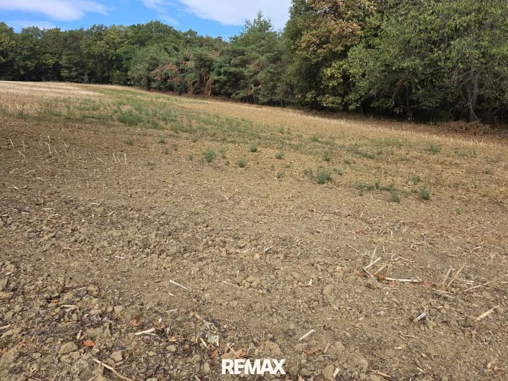 Immobilie kaufen in Güssing – 4 689 m², € 12.000