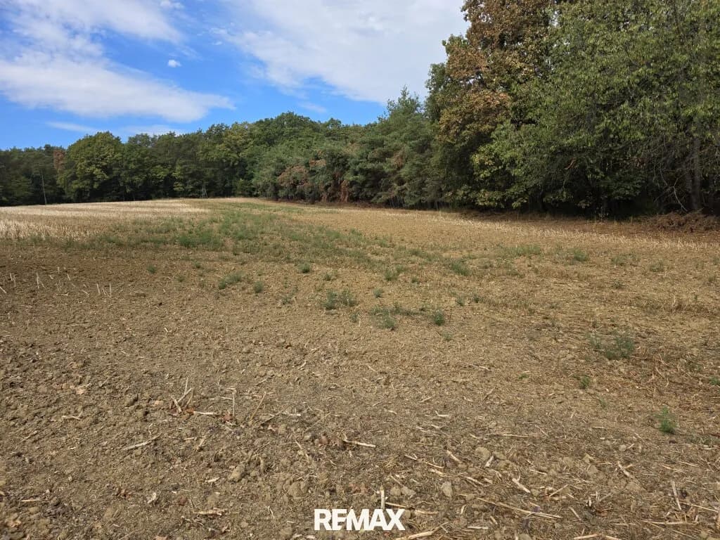 Immobilie kaufen in Güssing – 4 689 m², € 12.000 – Bild 2 von 12