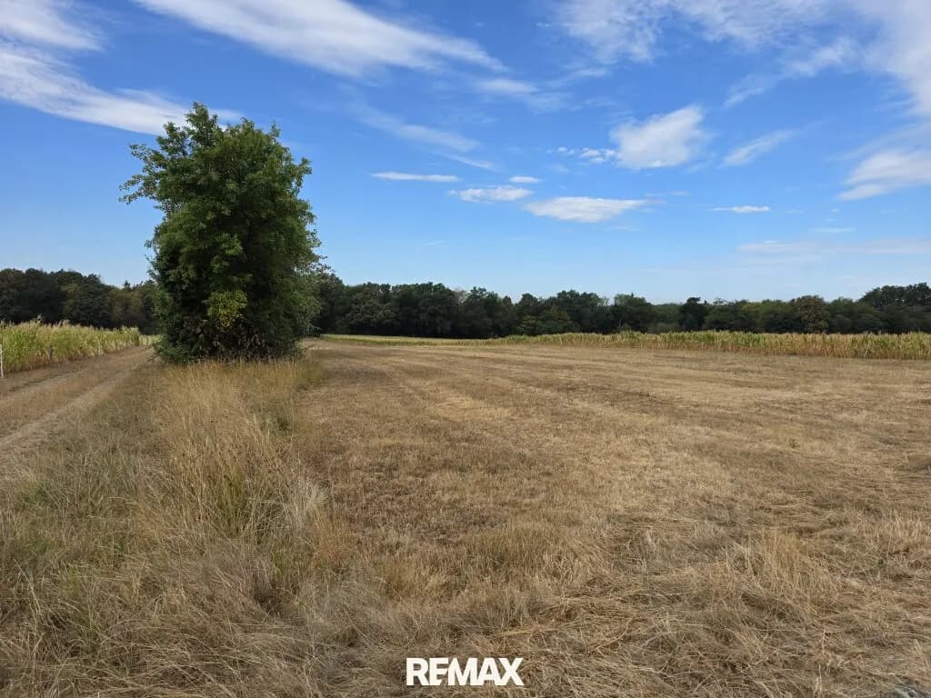 Immobilie kaufen in Güssing – 4 689 m², € 12.000 – Bild 3 von 12