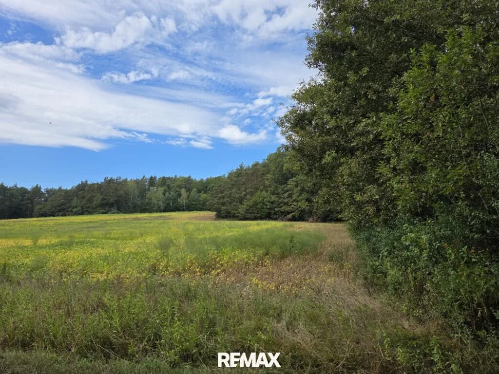 Immobilie kaufen in Güssing – 4 689 m², € 12.000 – Bild 5 von 12