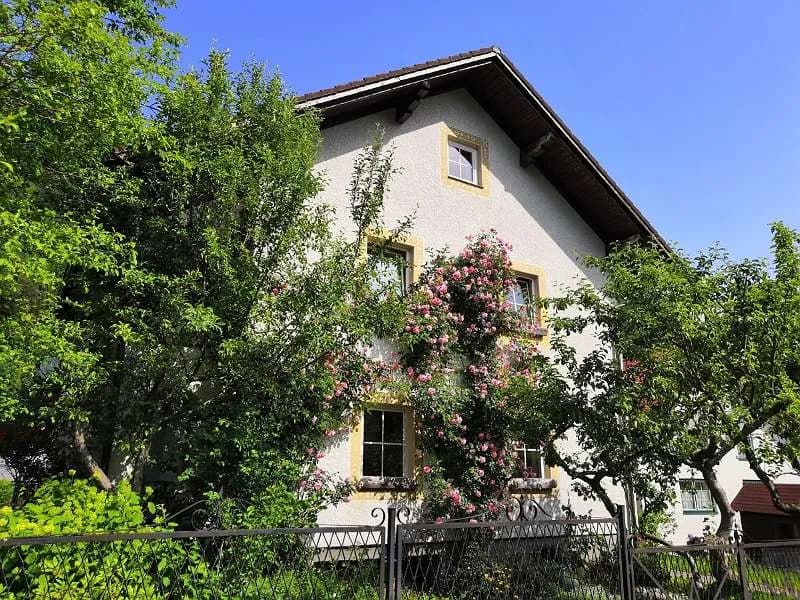 2-Zimmer-Wohnung mieten in Scheibbs – 72 m², € 720