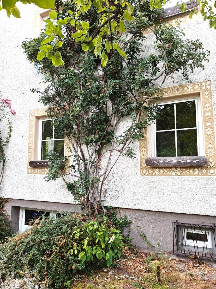2-Zimmer-Wohnung mieten in Scheibbs – 72 m², € 720 – Bild 2 von 29