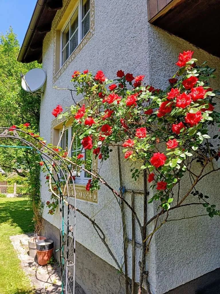 2-Zimmer-Wohnung mieten in Scheibbs – 72 m², € 720 – Bild 5 von 29