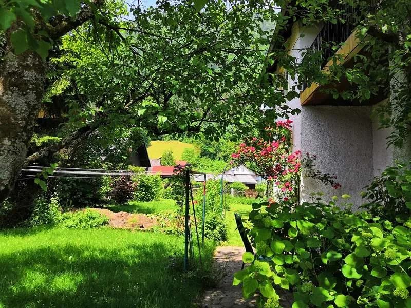 2-Zimmer-Wohnung mieten in Scheibbs – 72 m², € 720 – Bild 6 von 29