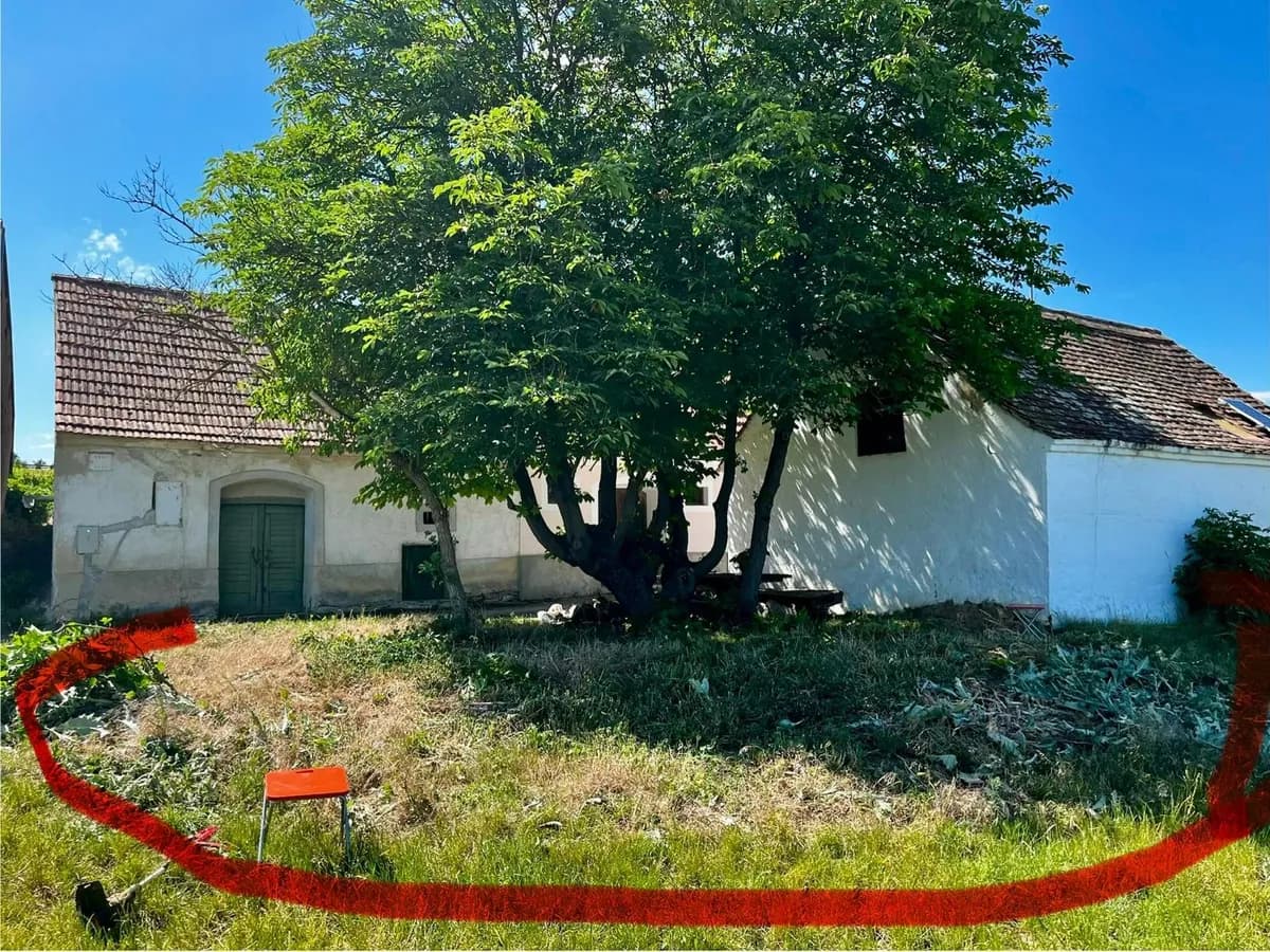 Immobilie kaufen in Horn – 94 m², € 24.500