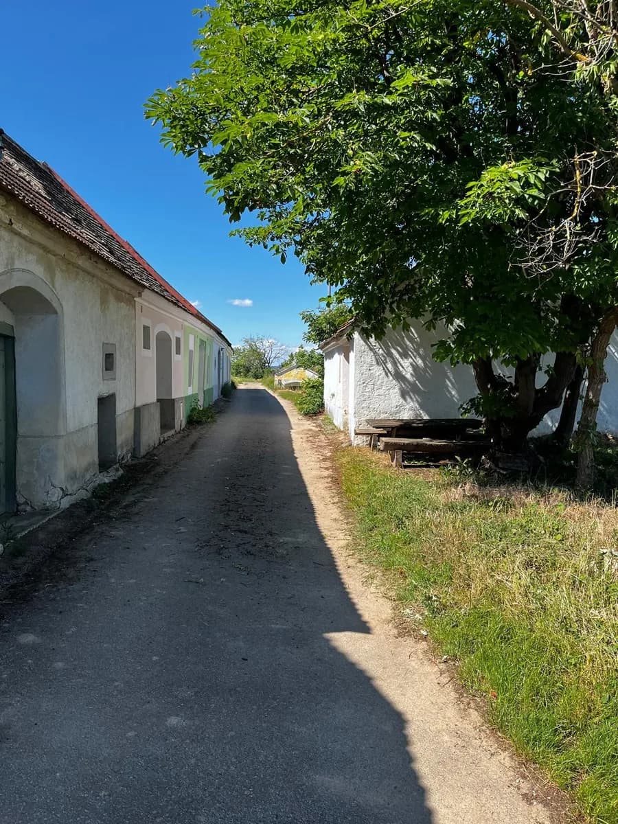 Immobilie kaufen in Horn – 94 m², € 24.500 – Bild 11 von 15