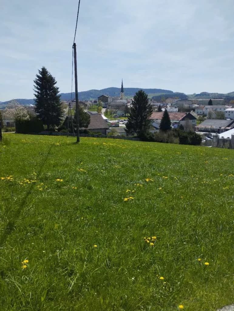 Grundstück kaufen in Rohrbach – 1 000 m², € 49