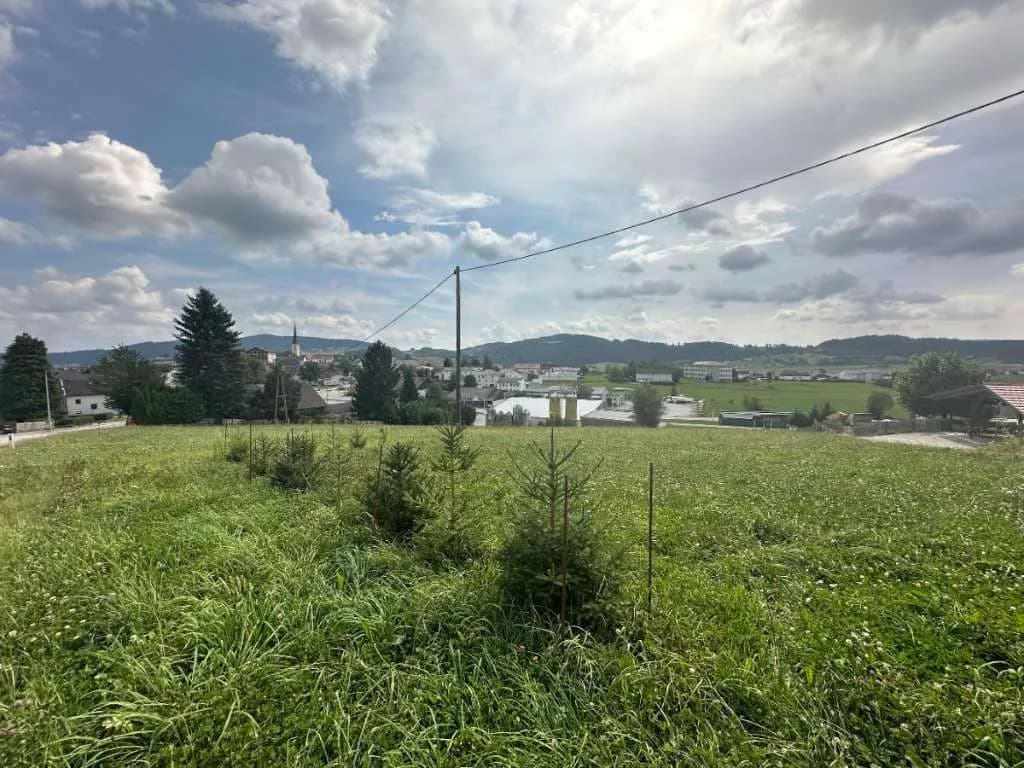 Grundstück kaufen in Rohrbach – 1 000 m², € 49 – Bild 8 von 11