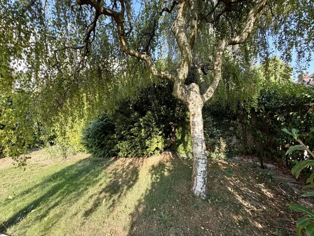 1-Zimmer-Wohnung kaufen in Wien – 39,04 m², € 205.000 – Bild 14 von 15