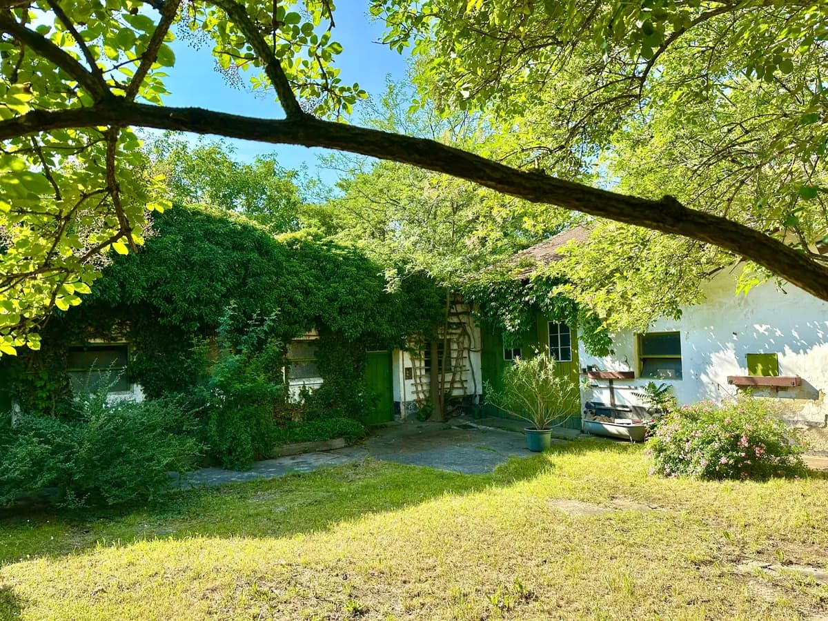Immobilie kaufen in Korneuburg – 70 m² – Bild 10 von 19