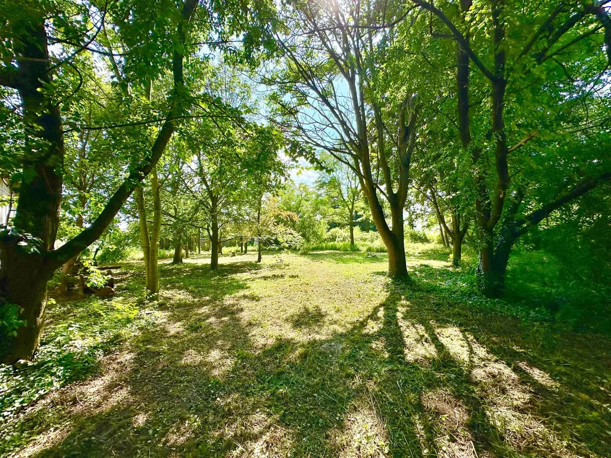 Immobilie kaufen in Korneuburg – 70 m² – Bild 15 von 19