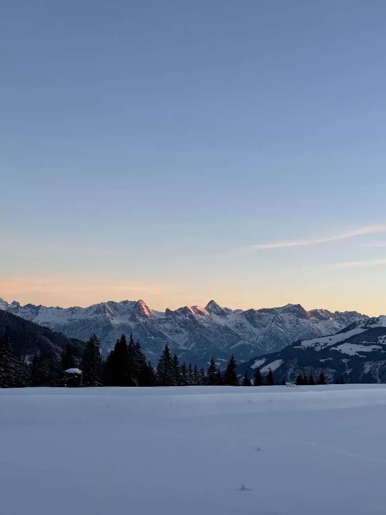 22-Zimmer-Gewerbeimmobilie kaufen in Zell am See – 2 000 m², € 7.950.000