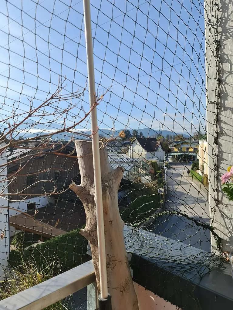 5-Zimmer-Wohnung kaufen in Salzburg-Umgebung – 112 m², € 696.000 – Bild 5 von 7