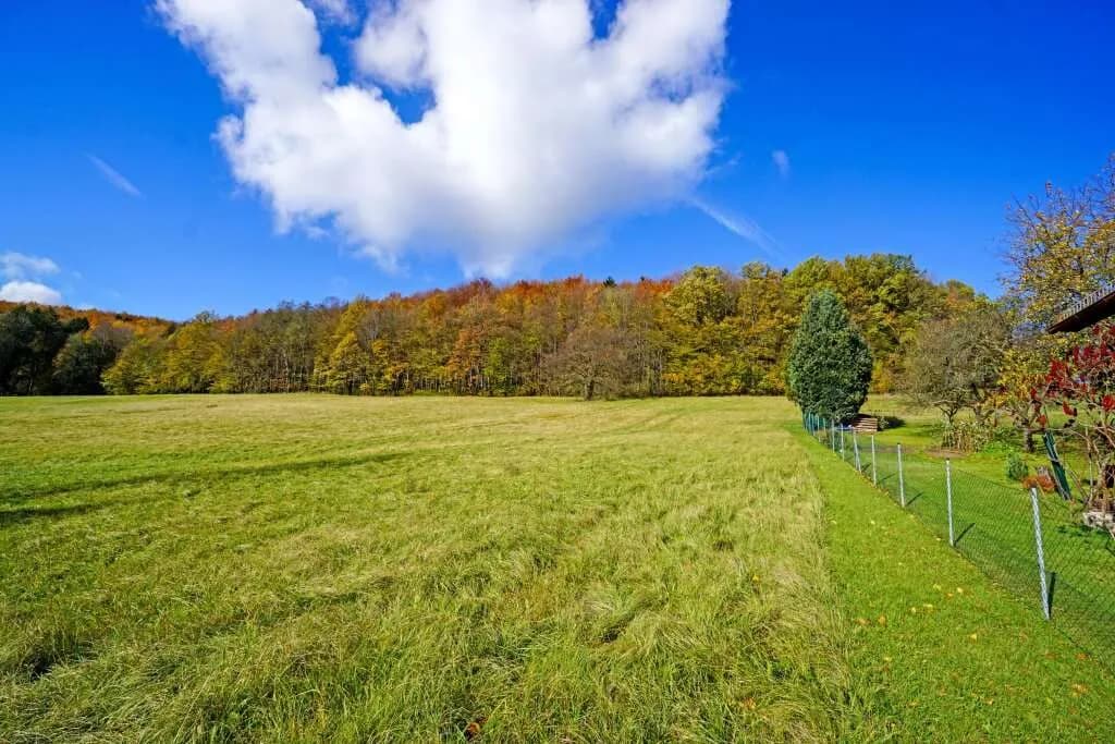 Grundstück kaufen in Sankt Pölten Land – 5 480 m², € 420.000 – Bild 2 von 6