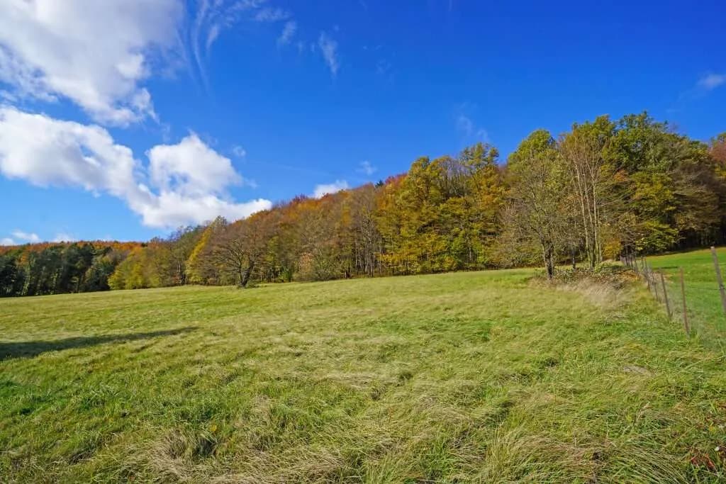 Grundstück kaufen in Sankt Pölten Land – 5 480 m², € 420.000 – Bild 4 von 6