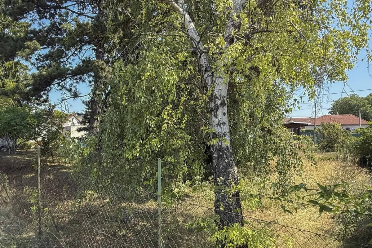 Grundstück kaufen in Korneuburg – 430 m², € 339.000 – Bild 6 von 8