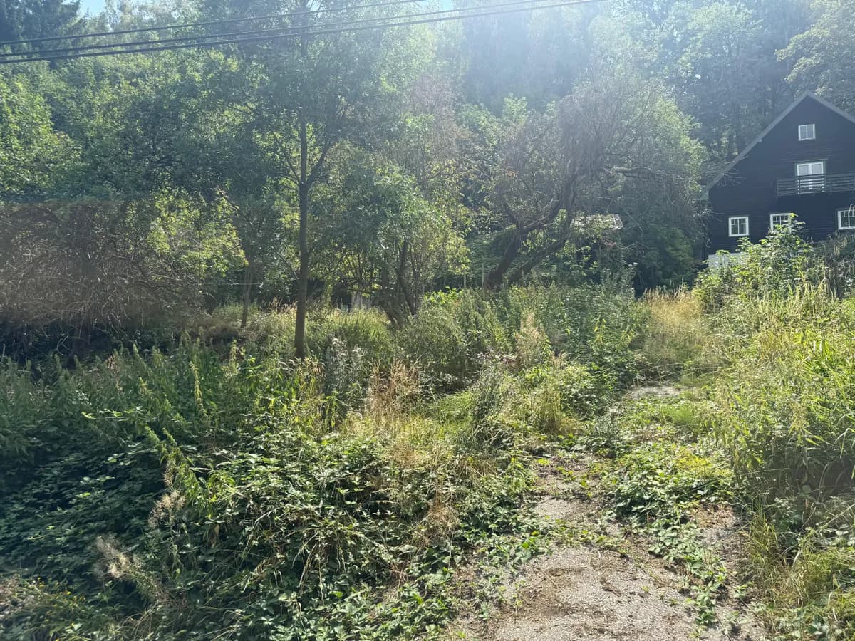 Grundstück kaufen in Wien – 2 681 m², € 590.000 – Bild 5 von 6