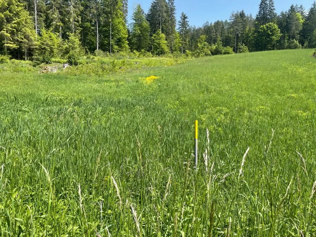 Grundstück kaufen in Villach Land – 3 460 m², € 294.100