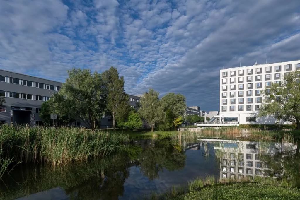 Gewerbeimmobilie mieten in Mödling – 300 m², € 4.650 – Bild 3 von 8