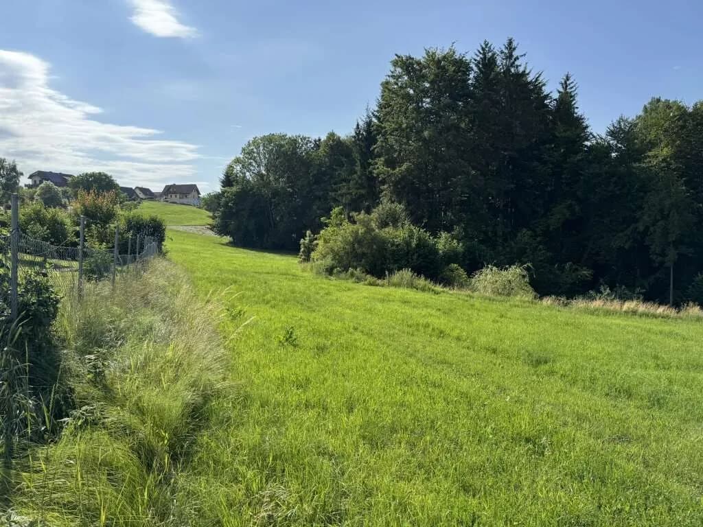 Grundstück kaufen in Graz-Umgebung – 4 639 m², € 229.000 – Bild 5 von 11