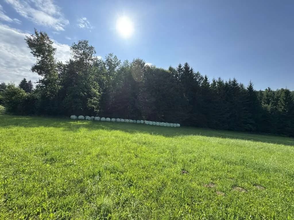 Grundstück kaufen in Graz-Umgebung – 4 639 m², € 229.000 – Bild 6 von 11