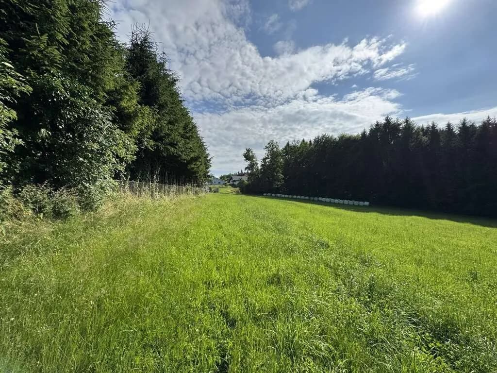 Grundstück kaufen in Graz-Umgebung – 4 639 m², € 229.000 – Bild 8 von 11
