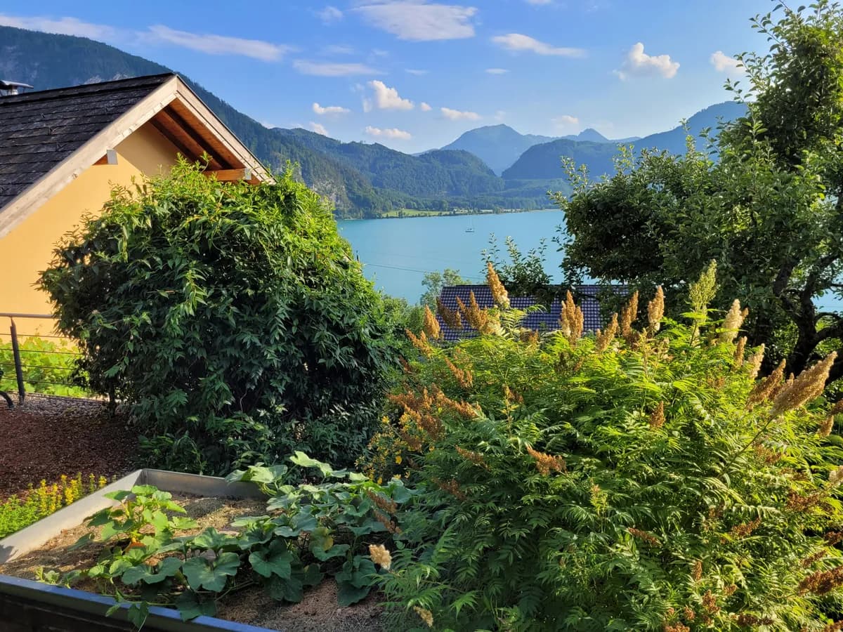 Haus kaufen in Vöcklabruck – 210 m², € 1.990.000 – Bild 4 von 25