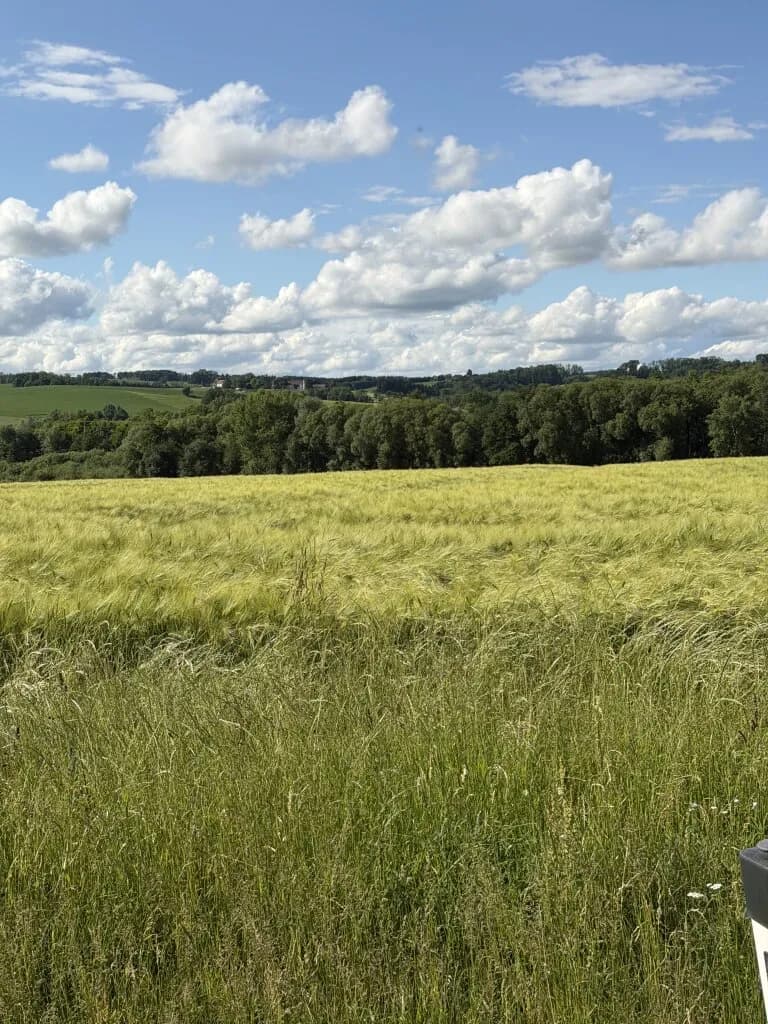 Immobilie kaufen in Schärding – 83 562 m², € 880.000