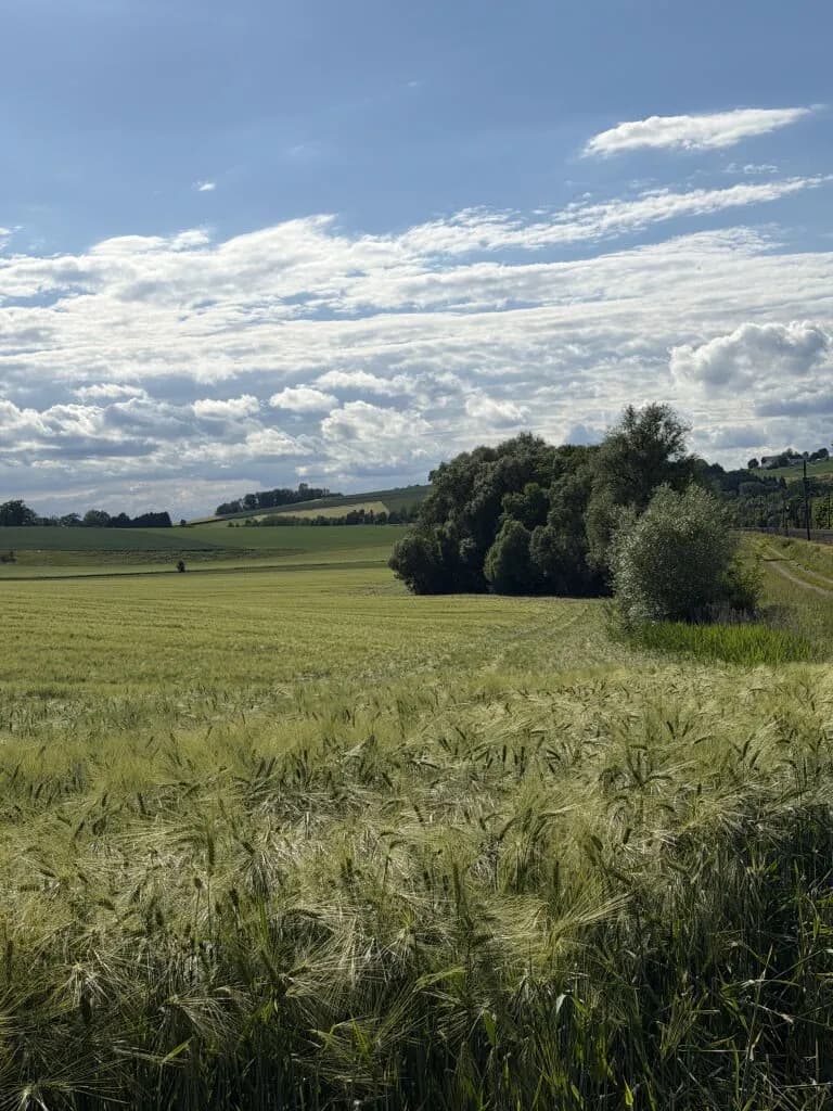 Immobilie kaufen in Schärding – 83 562 m², € 880.000 – Bild 2 von 5