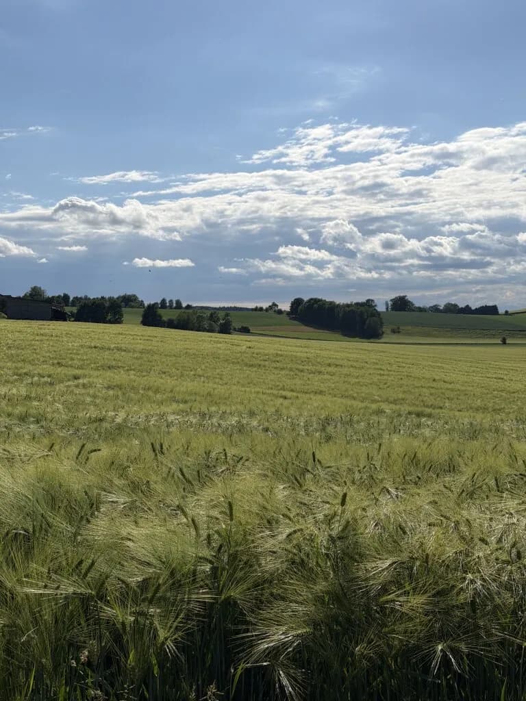 Immobilie kaufen in Schärding – 83 562 m², € 880.000 – Bild 3 von 5