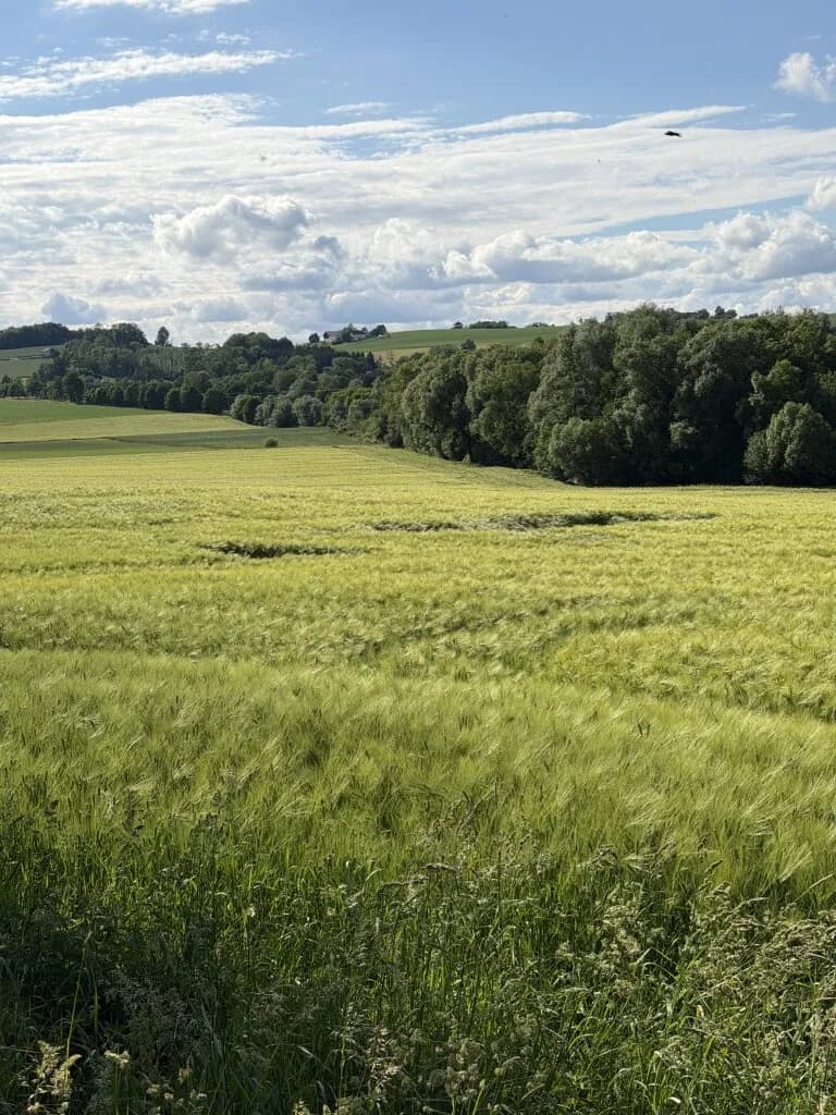 Immobilie kaufen in Schärding – 83 562 m², € 880.000 – Bild 4 von 5