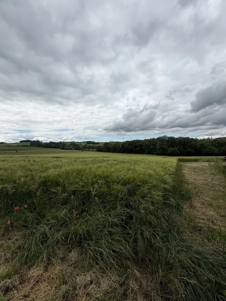 Immobilie kaufen in Schärding – 83 562 m², € 880.000 – Bild 5 von 5